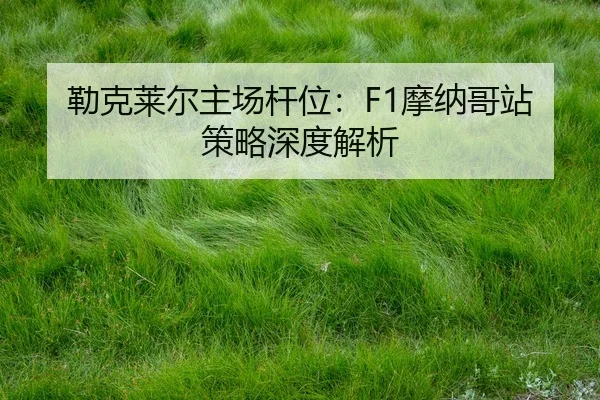lei-ke-lai-er-zhu-chang-gan-wei-mo-na-ge-zhan-ce-lve-shen-du-jie-xi-2-548.jpg