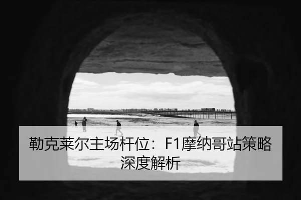 lei-ke-lai-er-zhu-chang-gan-wei-mo-na-ge-zhan-ce-lve-shen-du-jie-xi-3-777.jpg