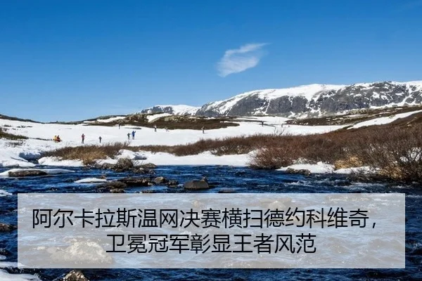 阿尔卡拉斯温网决赛横扫德约科维奇，卫冕冠军彰显王者风范