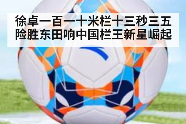 徐卓一百一十米栏十三秒三五险胜东田响中国栏王新星崛起