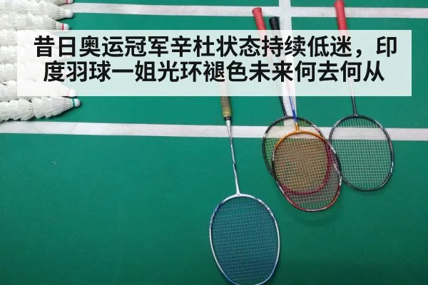 昔日奥运冠军辛杜状态持续低迷,印度羽球一姐光环褪色未来何去何从